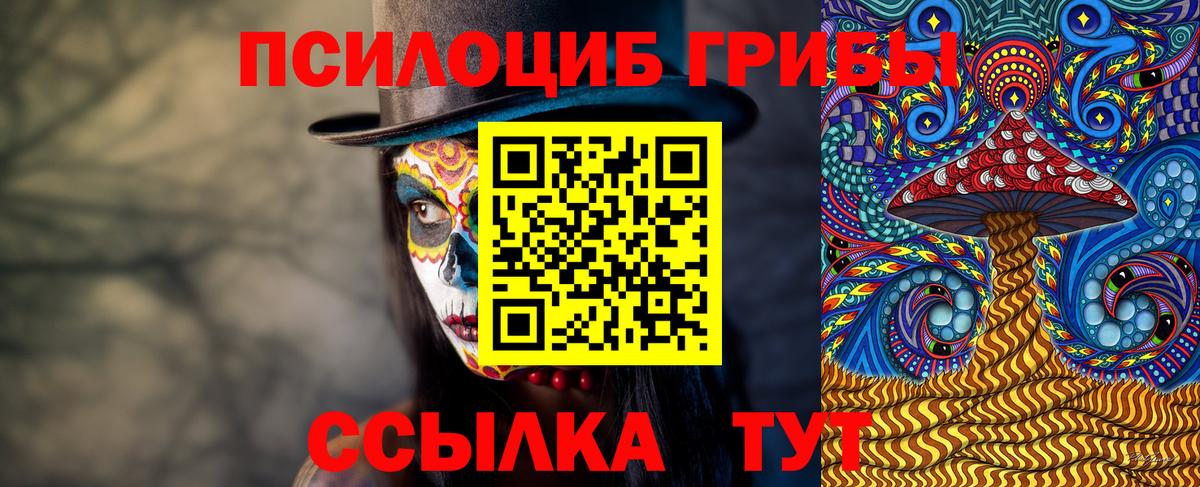 Псилоцибиновые грибы мицелий Калач-на-Дону